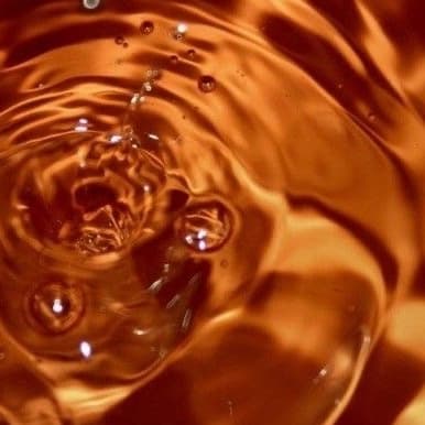 Fall Into Peels at Lotus & Sage Beauty in Citrus Heights, CA